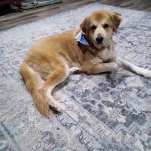 Meet your Posher, Edward